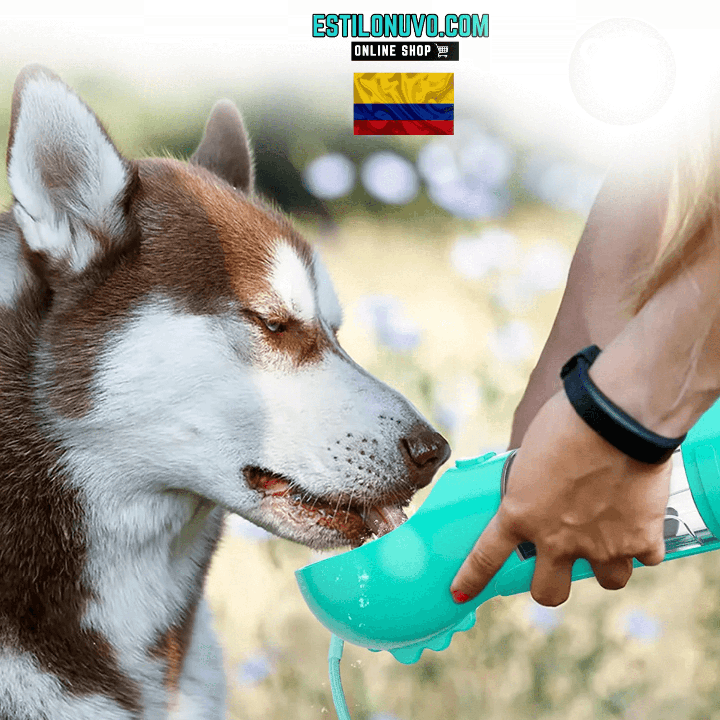 REVOLUTIONPET™ PRO Todo en 1: Botella Completa para Mascotas 🐶